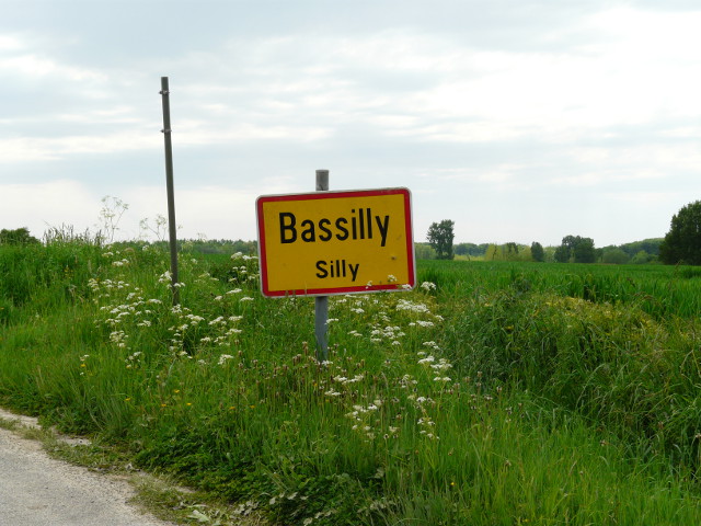 P1150572bassilly_g